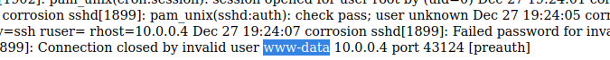 cor www-data.png